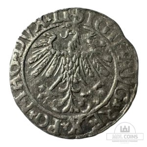 Alternative view of 1558 metų Žygimanto Augusto 1/2 grašio