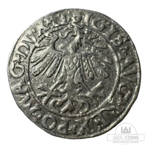 Alternative view of 1558 metų Žygimanto Augusto 1/2 grašio