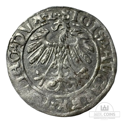 1558 metų Žygimanto Augusto 1/2 grašio - Image 2