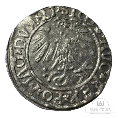 1558 metų Žygimanto Augusto 1/2 grašio - Image 2