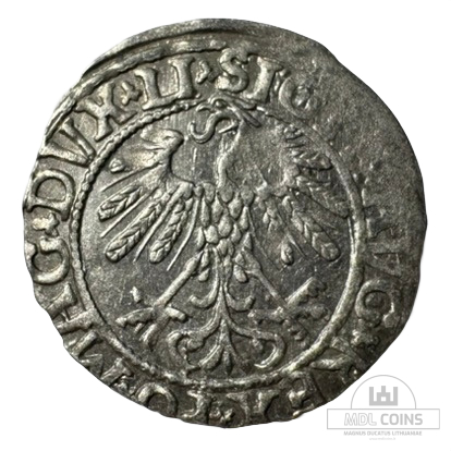 1558 metų Žygimanto Augusto 1/2 grašio - Image 2
