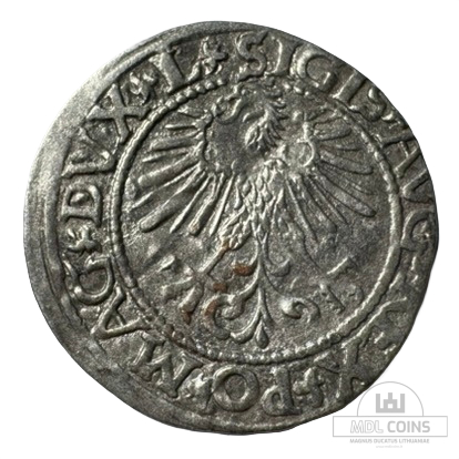 1561 metų Žygimanto Augusto 1/2 grašio - Image 2