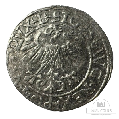 1561 metų Žygimanto Augusto 1/2 grašio - Image 2
