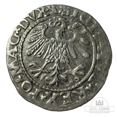 1559 metų Žygimanto Augusto 1/2 grašio - Image 2
