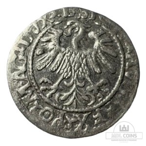 Alternative view of 1559 metų Žygimanto Augusto 1/2 grašio
