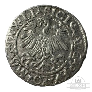 Alternative view of 1559 metų Žygimanto Augusto 1/2 grašio