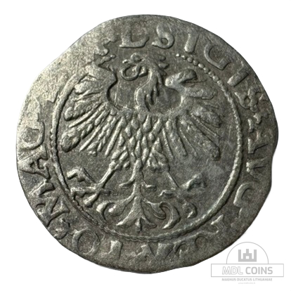1559 metų Žygimanto Augusto 1/2 grašio - Image 2