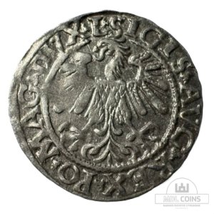 Alternative view of 1559 metų Žygimanto Augusto 1/2 grašio