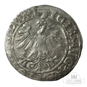 Alternative view of 1560 metų Žygimanto Augusto 1/2 grašio