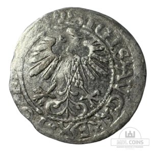 Alternative view of 1560 metų Žygimanto Augusto 1/2 grašio