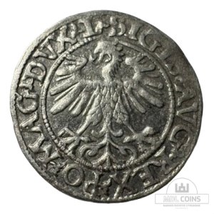 Alternative view of 1560 metų Žygimanto Augusto 1/2 grašio