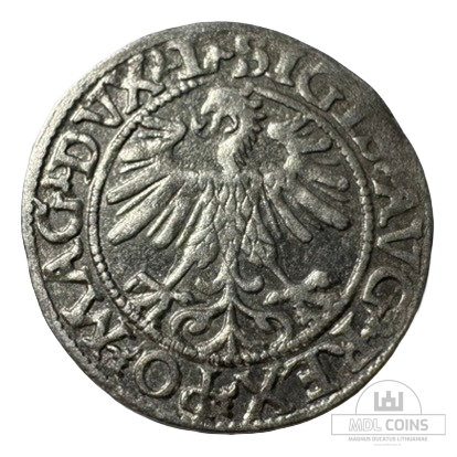1560 metų Žygimanto Augusto 1/2 grašio - Image 2