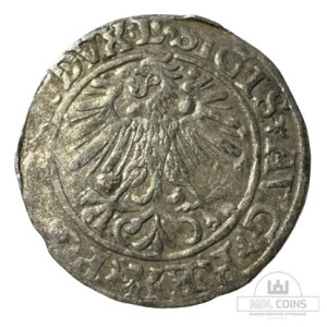 Alternative view of 1560 metų Žygimanto Augusto 1/2 grašio