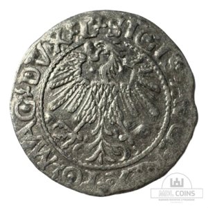 Alternative view of 1560 metų Žygimanto Augusto 1/2 grašio