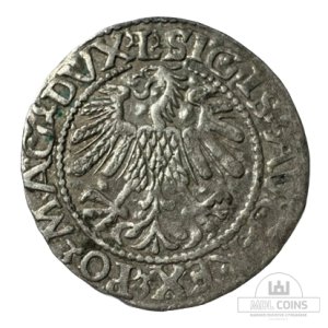 Alternative view of 1560 metų Žygimanto Augusto 1/2 grašio