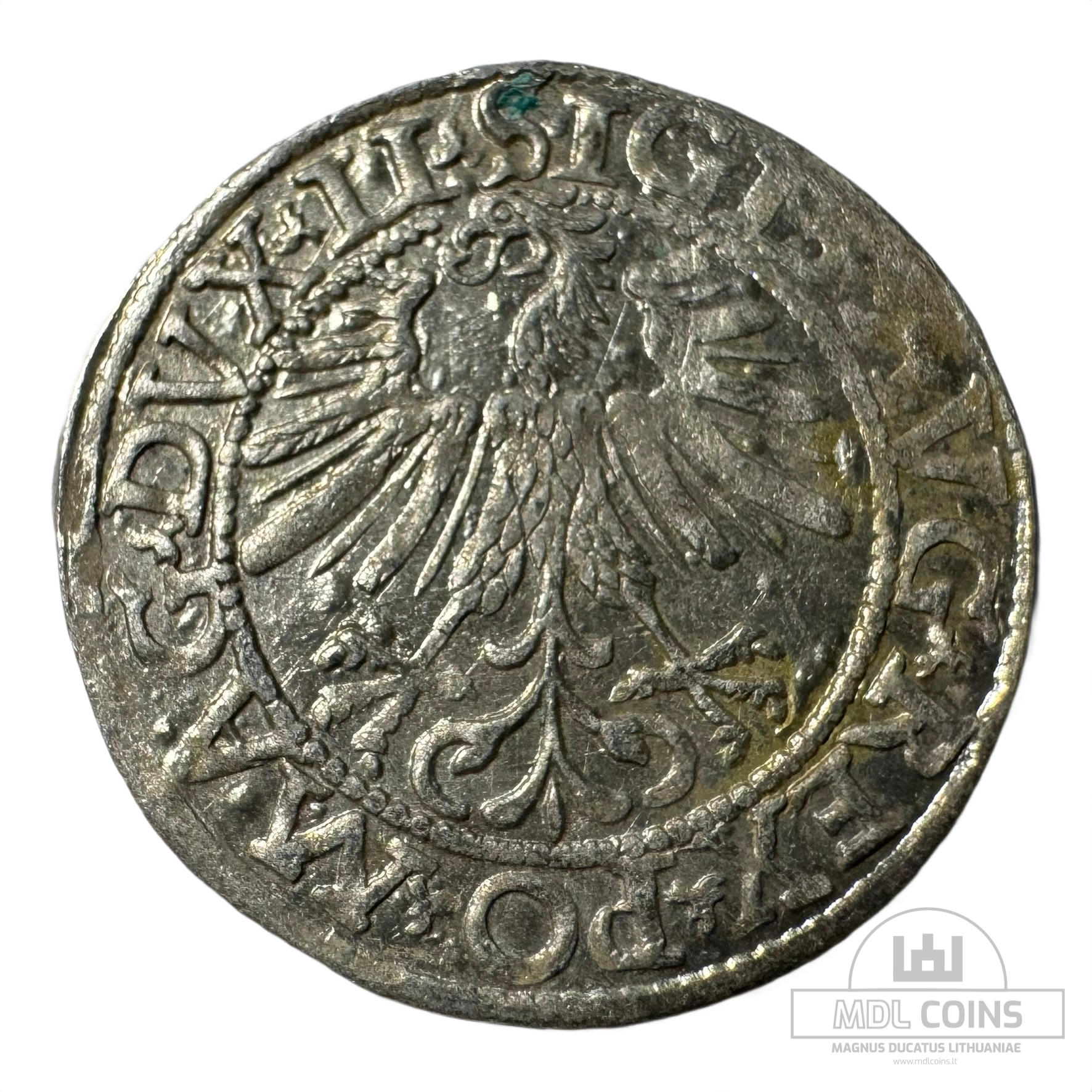 1562 metų Žygimanto Augusto 1/2 grašio - Image 2