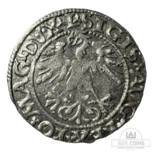Alternative view of 1562 metų Žygimanto Augusto 1/2 grašio