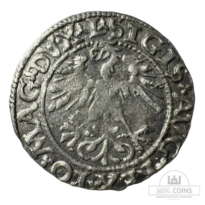 1562 metų Žygimanto Augusto 1/2 grašio - Image 2