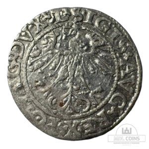 Alternative view of 1562 metų Žygimanto Augusto 1/2 grašio