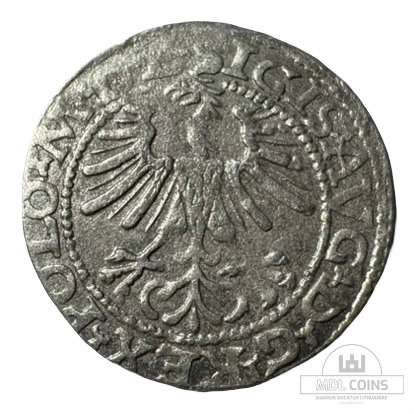 1564 metų Žygimanto Augusto 1/2 grašio - Image 2
