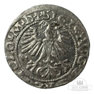Alternative view of 1564 metų Žygimanto Augusto 1/2 grašio