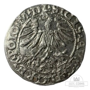 Alternative view of 1565 metų Žygimanto Augusto 1/2 grašio - Dvigubas kalimas