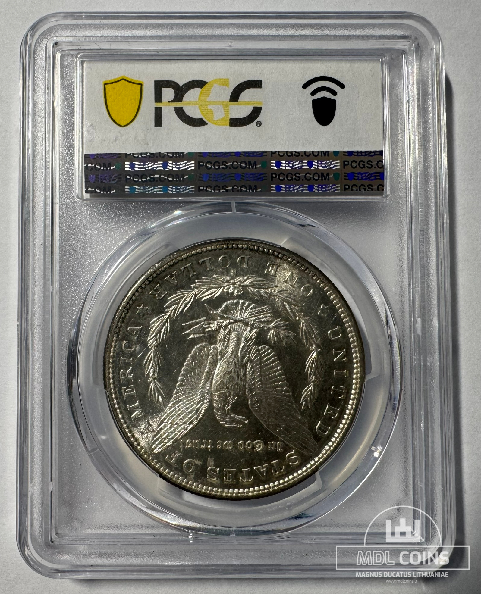 JAV - 1881 metų 1 doleris - "Morganas" - PCGS MS62 - (Sidabras 900 / 26,73 g) – (Sesija Nr.92 – Pabaiga 20260514 – 21.04 val. + 2 min. „Anti-sniping”) - Image 3