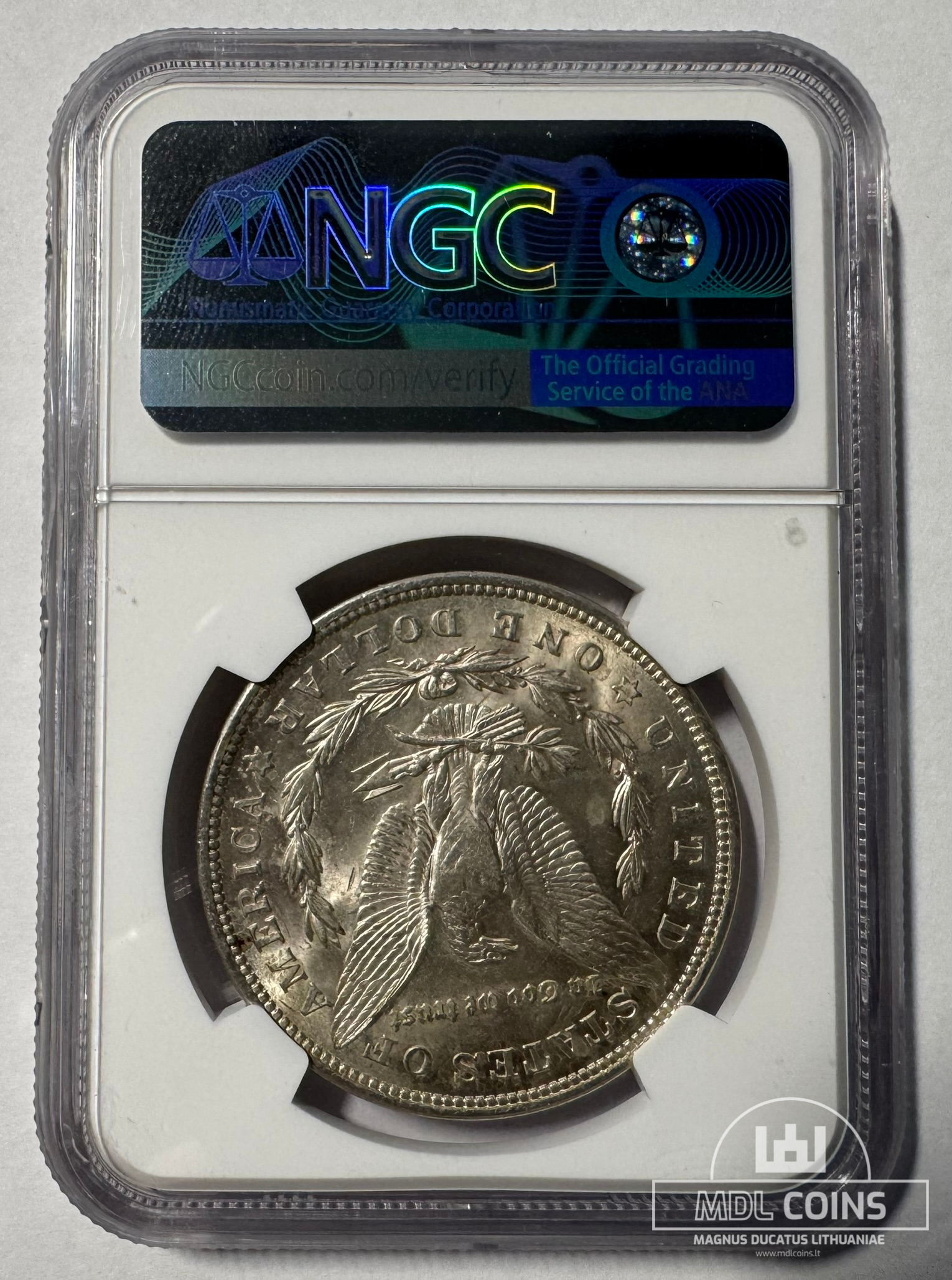 JAV - 1921 metų 1 doleris - "Morganas" - NGC MS62 - "100th ANNIVERSARY" - (Sidabras 900 / 26,73 g) - Image 3
