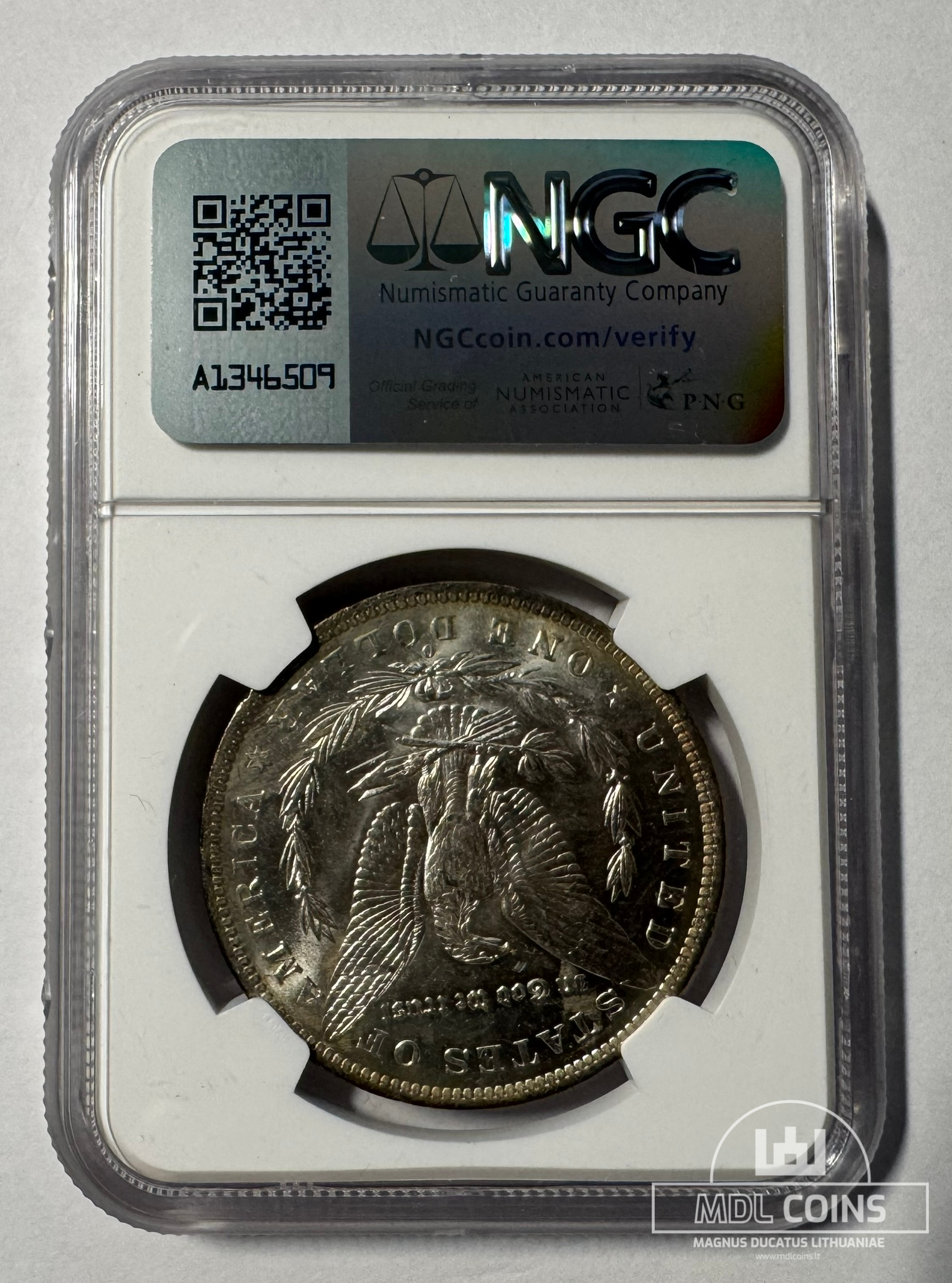 JAV - 1883 metų 1 doleris - "Morganas" - NGC MS62 - (Sidabras 900 / 26,73 g) - Image 3