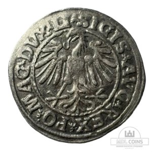 Alternative view of 1547 metų Žygimanto Augusto 1/2 grašio