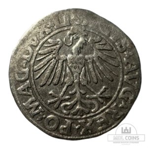 Alternative view of 1548 metų Žygimanto Augusto 1/2 grašio
