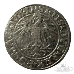 Alternative view of 1548 metų Žygimanto Augusto 1/2 grašio