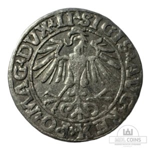 Alternative view of 1550 metų Žygimanto Augusto 1/2 grašio