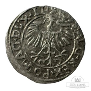 Alternative view of 1556 metų Žygimanto Augusto 1/2 grašio