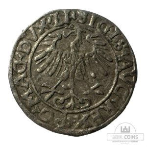 Alternative view of 1556 metų Žygimanto Augusto 1/2 grašio – (Sesija Nr.95 – Pabaiga 20260525 – 22.14 val. + 2 min. „Anti-sniping”)