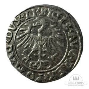 Alternative view of 1556 metų Žygimanto Augusto 1/2 grašio
