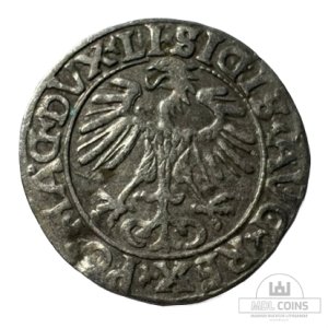 Alternative view of 1556 metų Žygimanto Augusto 1/2 grašio – (Sesija Nr.96 – Pabaiga 20260604 – 22.16 val. + 2 min. „Anti-sniping”)