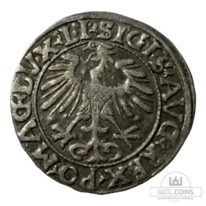 Alternative view of 1556 metų Žygimanto Augusto 1/2 grašio