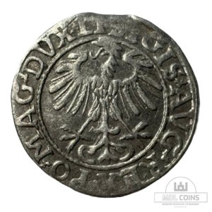 Alternative view of 1557 metų Žygimanto Augusto 1/2 grašio