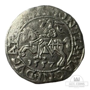 1557 metų Žygimanto Augusto 1/2 grašio