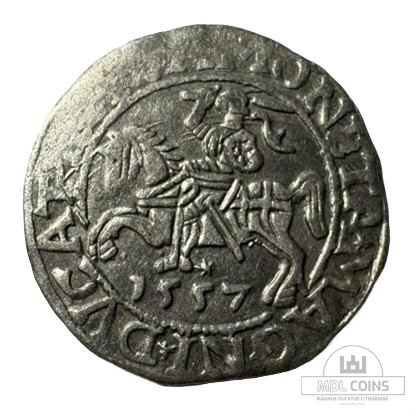1557 metų Žygimanto Augusto 1/2 grašio