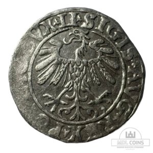 Alternative view of 1557 metų Žygimanto Augusto 1/2 grašio