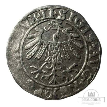 1557 metų Žygimanto Augusto 1/2 grašio - Image 2