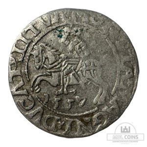 1557 metų Žygimanto Augusto 1/2 grašio – (Sesija Nr.96 – Pabaiga 20260604 – 22.18 val. + 2 min. „Anti-sniping”)