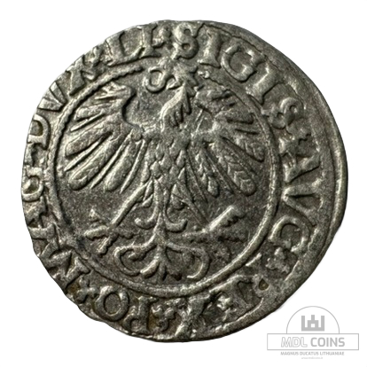 1558 metų Žygimanto Augusto 1/2 grašio - Image 2