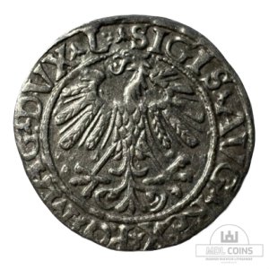 Alternative view of 1558 metų Žygimanto Augusto 1/2 grašio