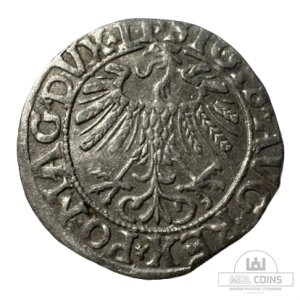 Alternative view of 1558 metų Žygimanto Augusto 1/2 grašio