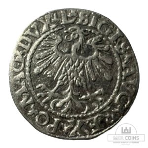 Alternative view of 1559 metų Žygimanto Augusto 1/2 grašio