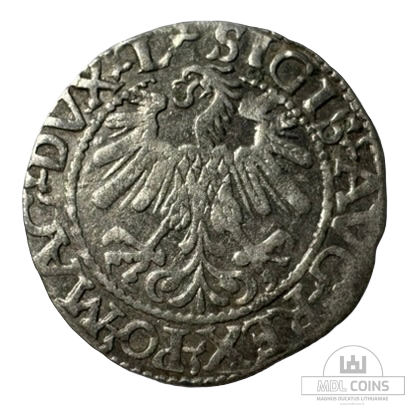 1559 metų Žygimanto Augusto 1/2 grašio - Image 2