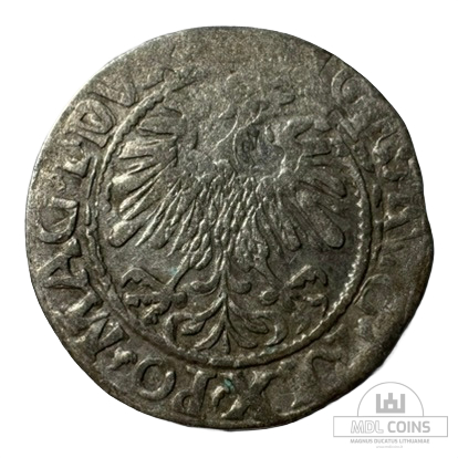 1559 metų Žygimanto Augusto 1/2 grašio - Image 2